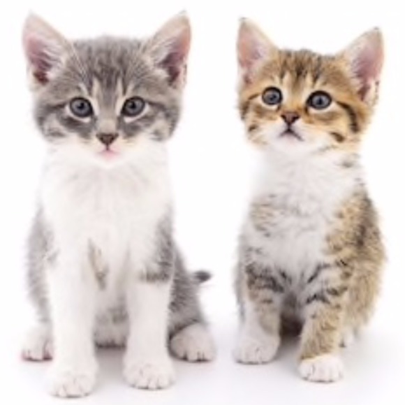 twokitty